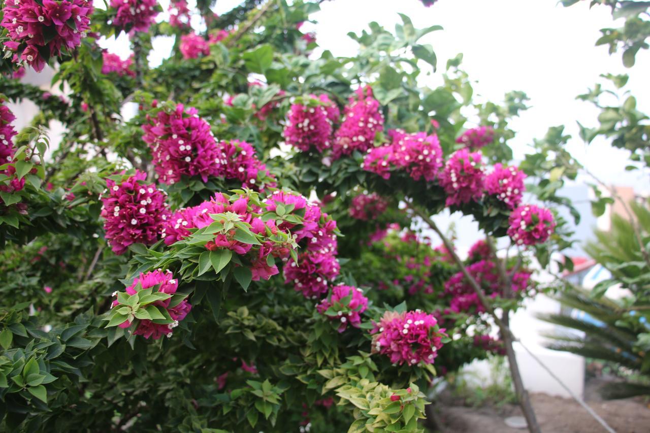 Villa Agrumeto Đảo Lipari Ngoại thất bức ảnh